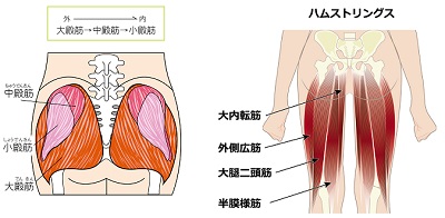 ヒップアップ 筋トレ どこ